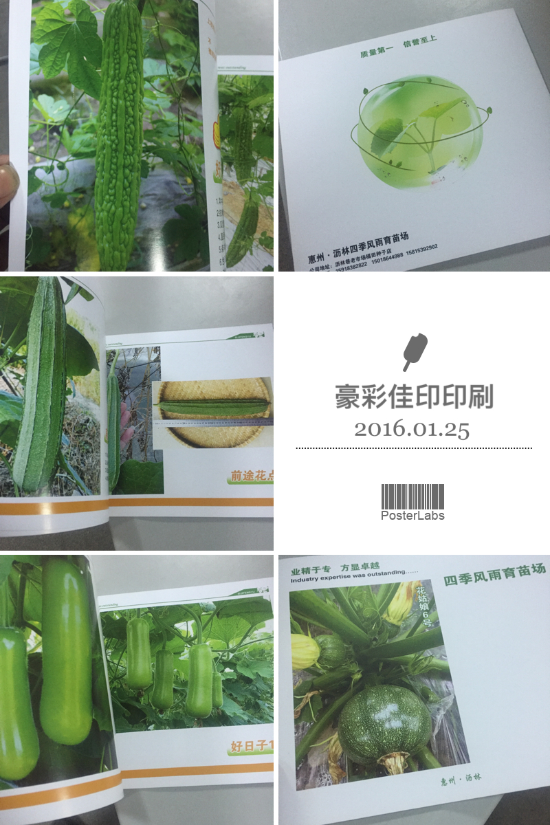 畫冊(cè)印刷