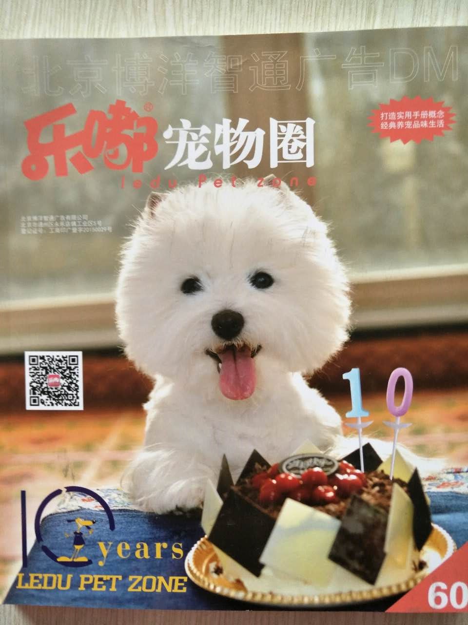 企業(yè)宣傳冊印刷——豪彩佳印做印刷您放心!