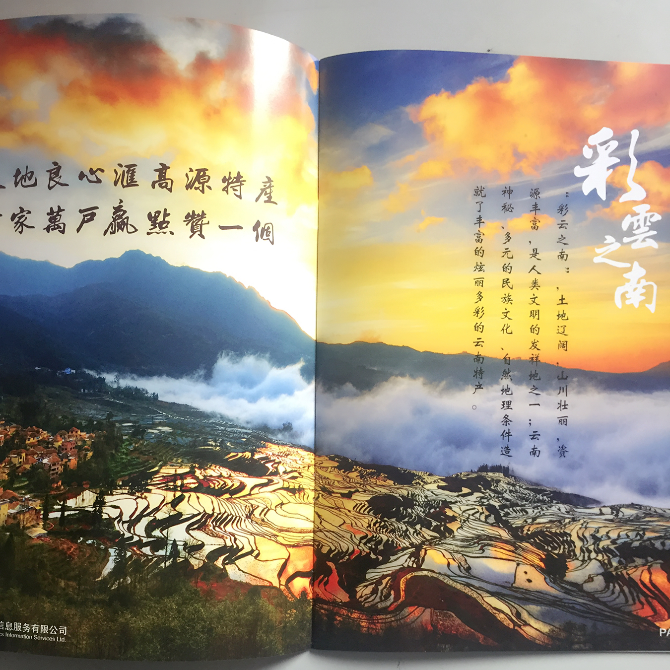 畫(huà)冊(cè)印刷
